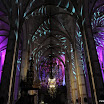 2511 (50) copy.jpg