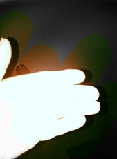 created with ColorSplashFX on my android phone created with ColorSplashFX on my android phone