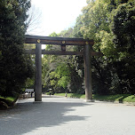 meiji jingu gate in Yoyogi, Japan 