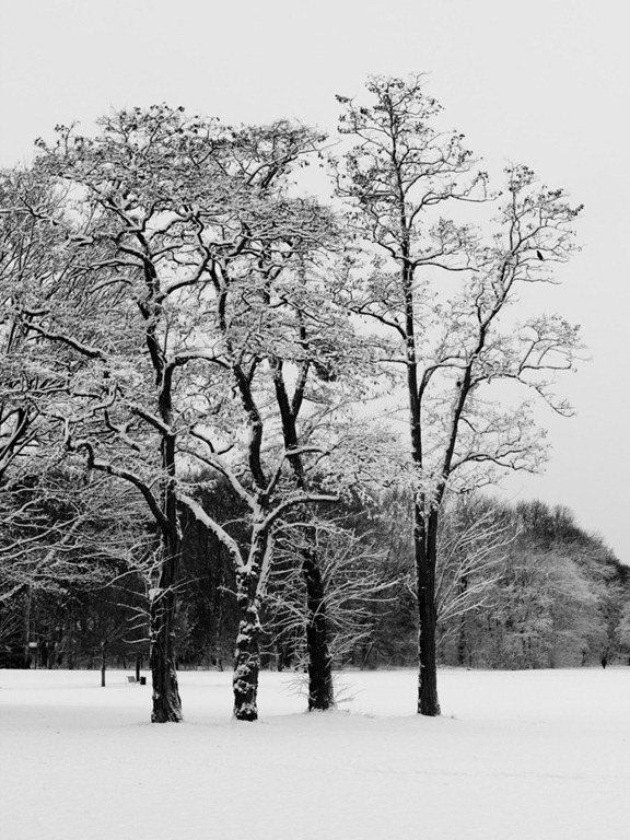 IMG_5498 IMG_5498
