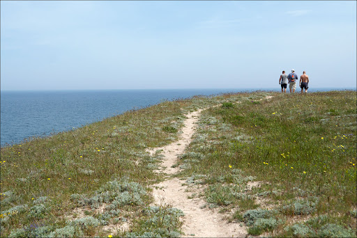 IMG_8769.jpg