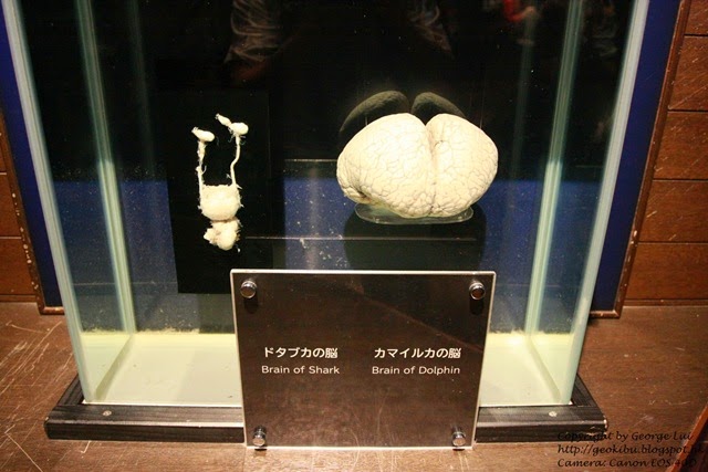 IMG_3058 IMG_3058