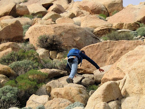 Bob climbs to get a better vantage point. (we lost the trail)