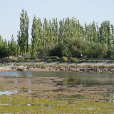 Hami - Paysage et cariole près champs de melon