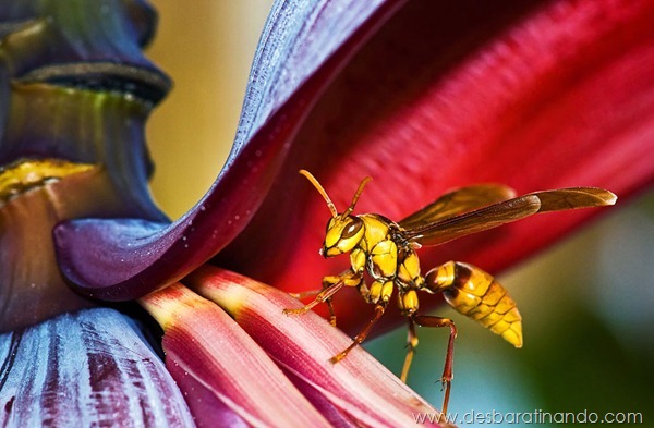sony-world-photography-awards-2013-13 sony-world-photography-awards-2013-13