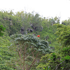 IMG_2009.JPG