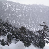 Morocco - Azrou.JPG