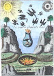 From Microcosmische Vorspiele Des Neuen Himmels Und Der Neuen Erde 1744