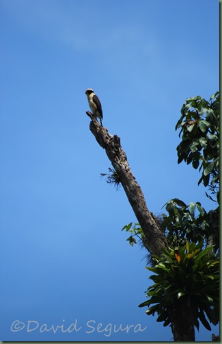 IMG_1450 IMG_1450