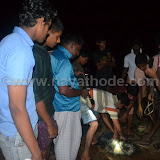 Udumbu at Nayathode 6.JPG