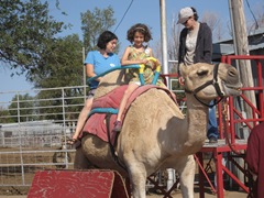 IMG_8731 IMG_8731