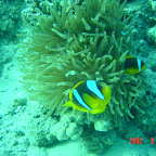 DSC00164.JPG