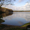 dsc06887.jpg