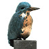 Object: 17811 - Ijsvogel rechtkijkend - 6 cm - € 650,=
