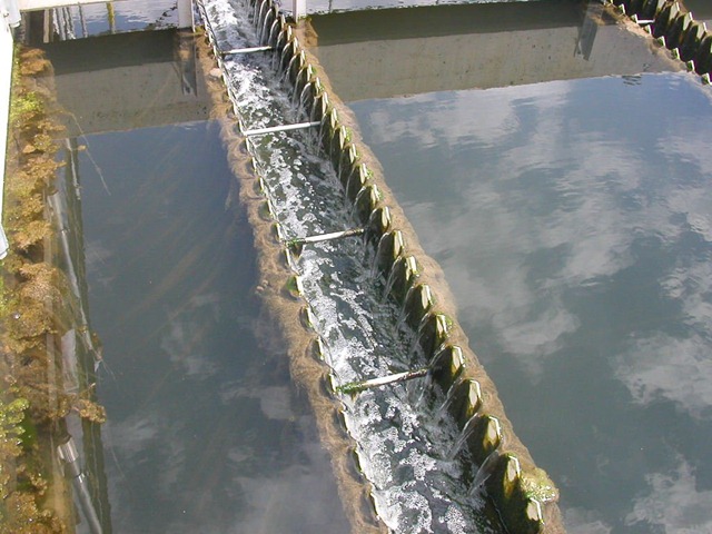 [waste4%255B3%255D.jpg]