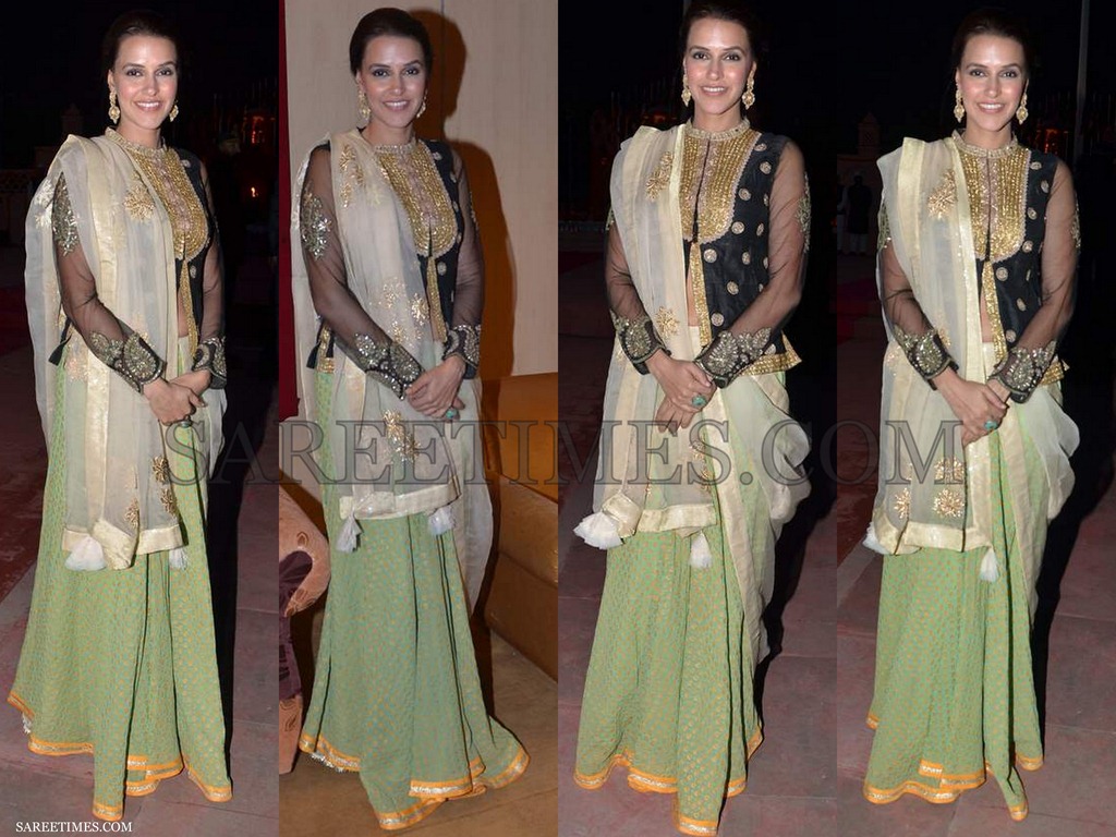 [Neha_Dhupia_Ritu_Kumar_saree%255B4%255D.jpg]