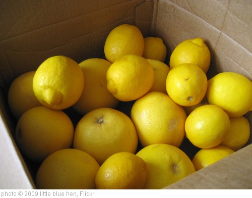 'when life gives you lemons...' photo (c) 2009, little blue hen - license: http://creativecommons.org/licenses/by/2.0/