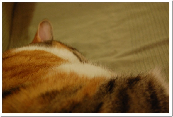 curled