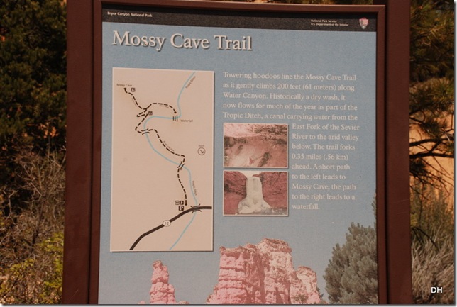 05-26-13 B Mossy Cave Trail Bryce (4)