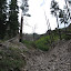 This wasnt the trail, but it did seem more fun climbing