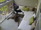Inspired Outdoor Spaces Contest: Just One Week Left!
