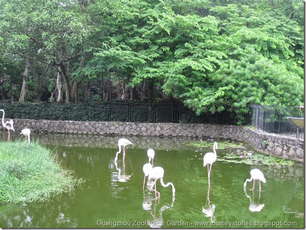 Guangzhou zoological garden (3)