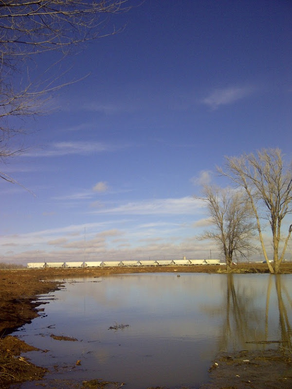 IMG-20130110-11272 IMG-20130110-11272
