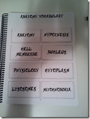 2012-09-21 Anatomy Flip Book (3)