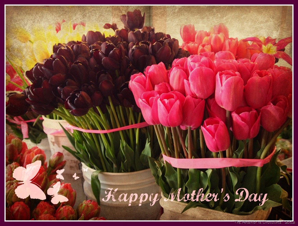 [Mother%2527s%2520Day%2520Tulips%2520%255B4%255D.jpg]