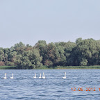 DSCN0268.JPG