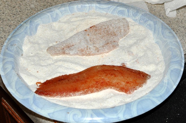 [fish%2520tacos%2520%25284%2529%255B3%255D.jpg]