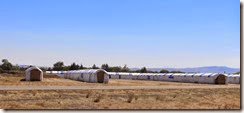 2014-08-07 views from puyallup to moses lake wa (46) 2014-08-07 views from puyallup to moses lake wa (46)