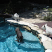 Los Angeles - Celia 2011 635.JPG