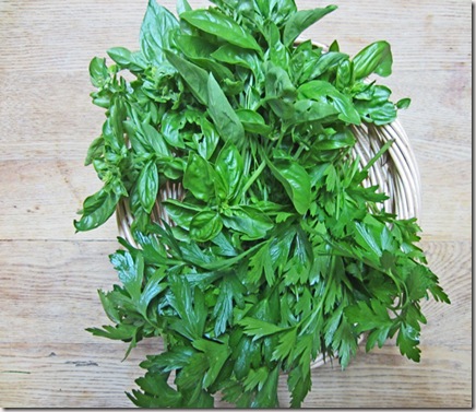 Basil and parsley