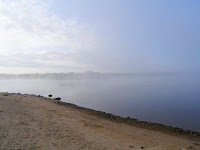 deltolet-11.jpg