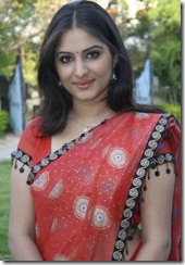 actress_gowri_munjal_in_saree_photo