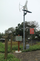 IMG_5177.JPG