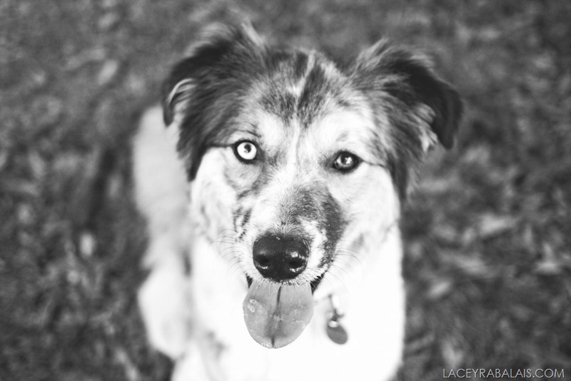 IMG_0555bw IMG_0555bw
