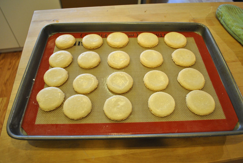 [baked%2520shells%255B8%255D.jpg]
