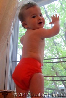 Nolan in bumgenius Freetime diaper Nolan in bumgenius Freetime diaper