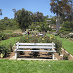 Rose Garden at the Mission 011.JPG