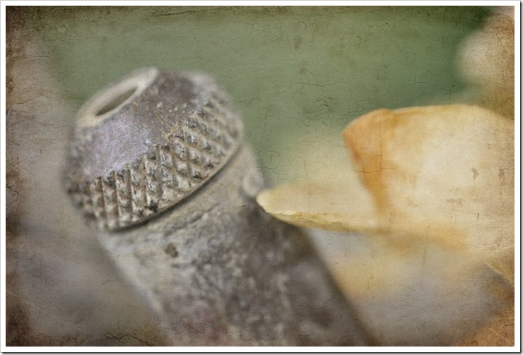 vintage 024