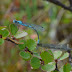 P1140052