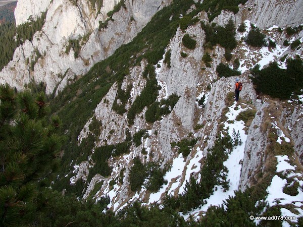 cioranga ramura de sus-36.JPG