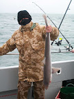 Image135.jpg