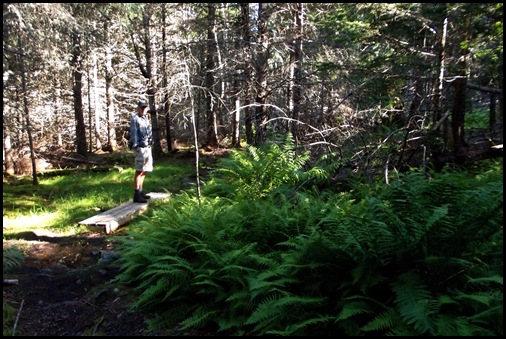 TNC hike, Pretty Marsh picnic, Bernard, Bass Harbor Light 037