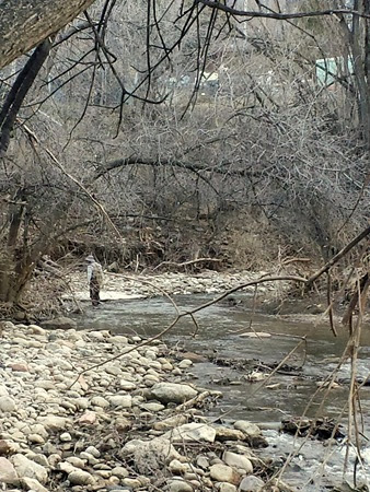 Boulder Creek Run