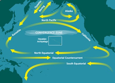 [North_Pacific_Subtropical_Convergenc.jpg]