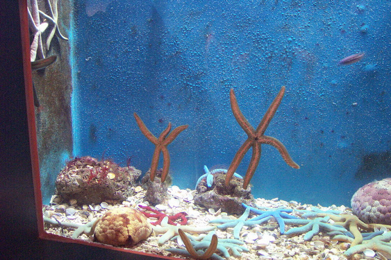 img_075.jpg