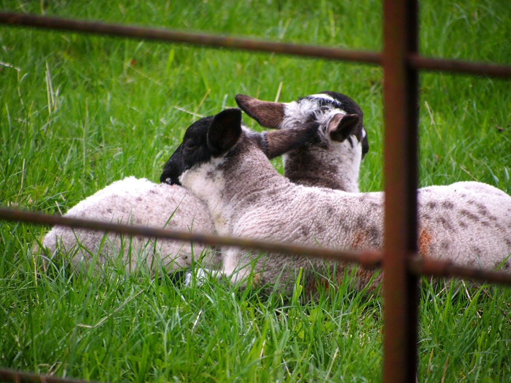 [8%2520May%25201%252008-05-2013%252011-36-53%25204032x3024%255B3%255D.jpg]